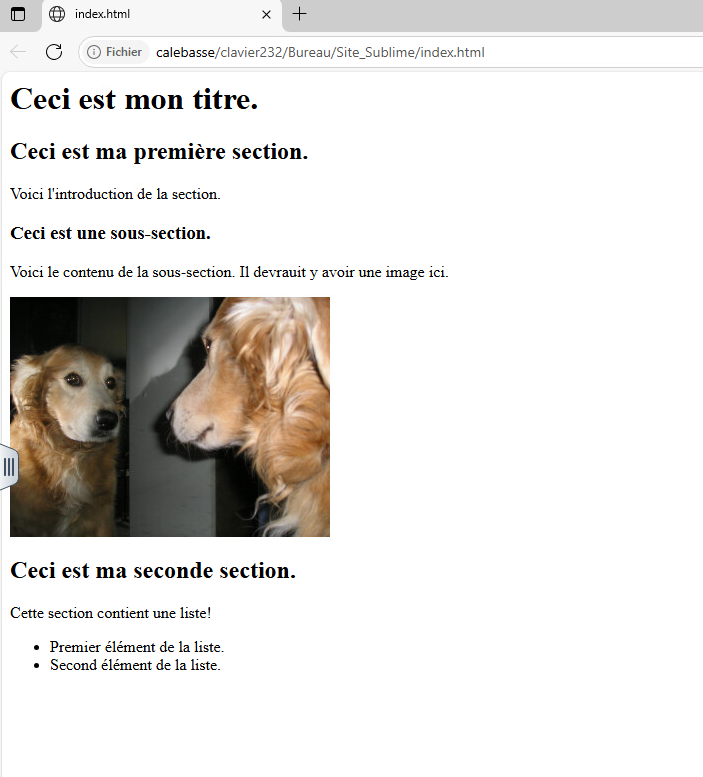 Capture d'écran du site à ce point du cours.