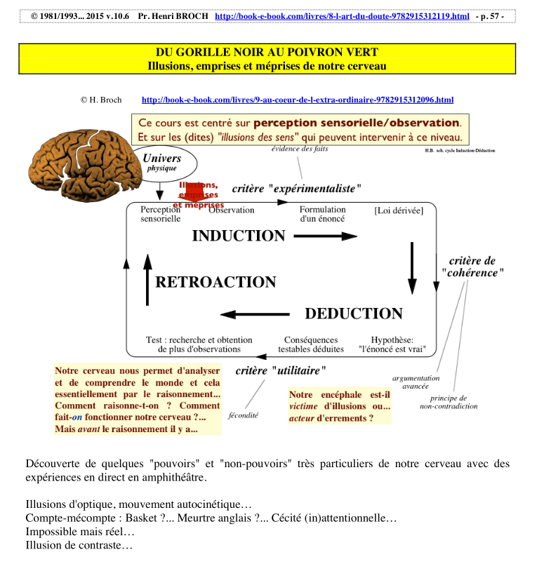 Pffff. Un schéma moche sur le fonctionnement des biais et du cerveau... Je sais pas quoi dire de plus. Y a une boucle qui dit "induction, déduction, rétroaction" dans un cadre au dessus duquel "l'univers physique" envoie des informations à la "perception sensorielle"...