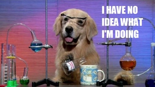 Un chien avec des lunettes de protection assis à une paillasse de chimie. Il est en train de verser un bécher dans un mug tout en disant "I have no idea what I'm doing"